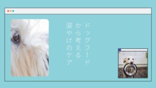 ドッグフードと涙焼け