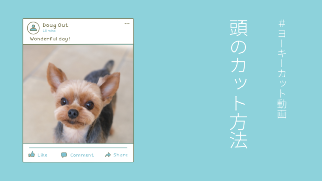 ヨークシャテリア/ヨーキーの頭のカット方法・トリミング動画